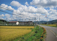 田園風景